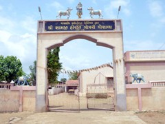 gau_sala