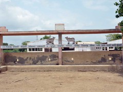 gau_sala1
